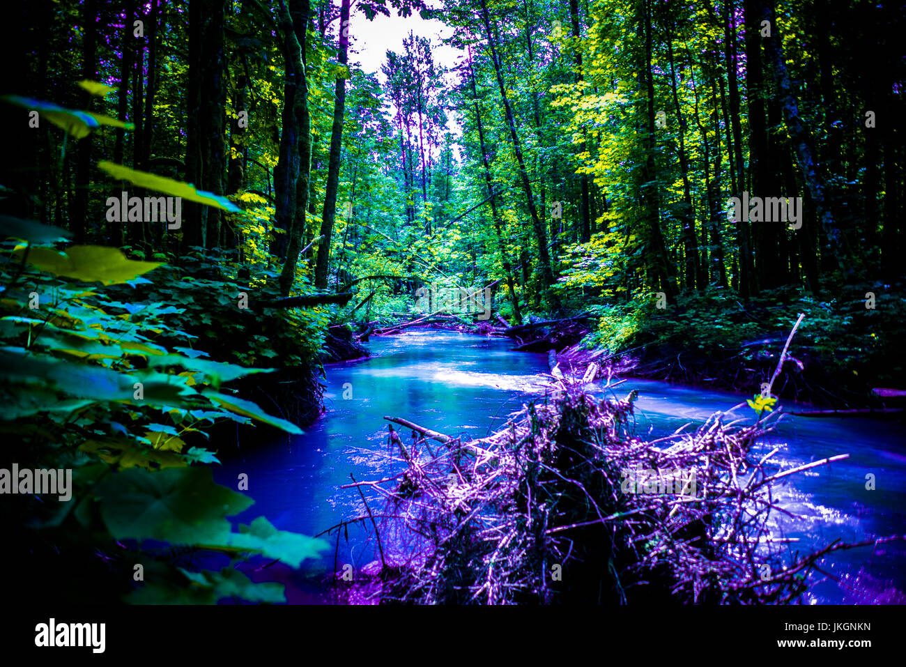 Lebendigen Fluss Stockfoto