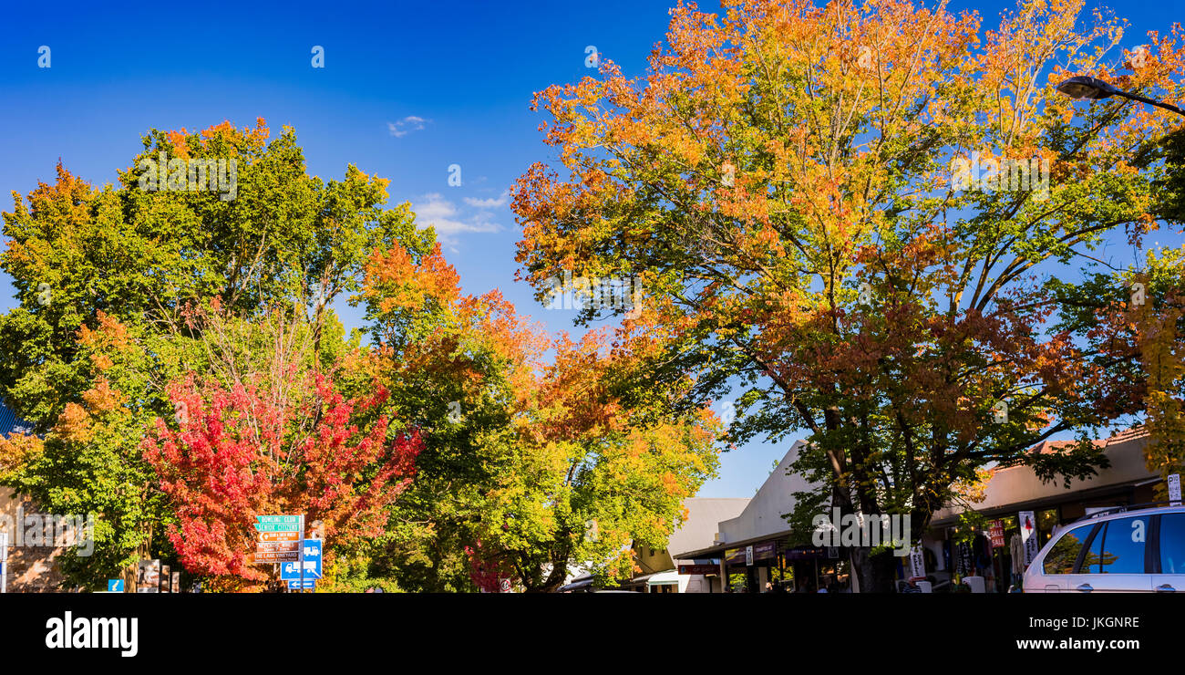 Herbstlaub im schönen Handorf, einem frühen Siedler-Stadt in den Adelaide Hills in South Australia Stockfoto