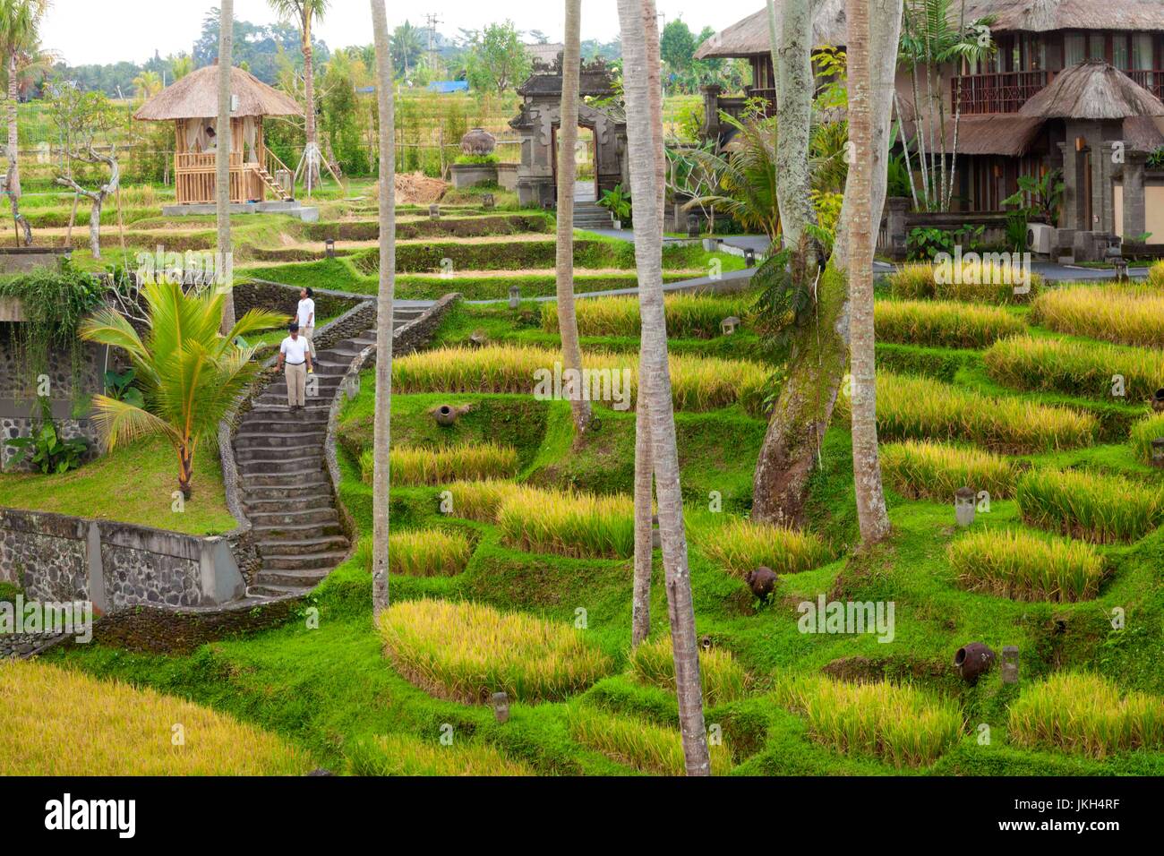Hotel Villa, Ubud, Bali, Indonesien Stockfoto