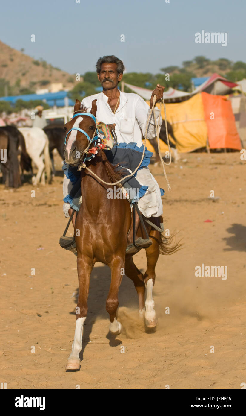 Mann-Test auf einem Marwari Pferd auf der Messe Pushkar in Rajasthan, Indien Stockfoto