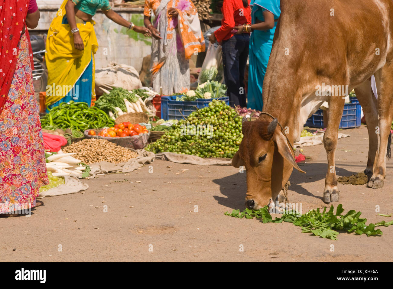 Indische Straßenszene. Kuh Essen Vegetation auf dem Straßenrand. Damen in bunten sari Stockfoto
