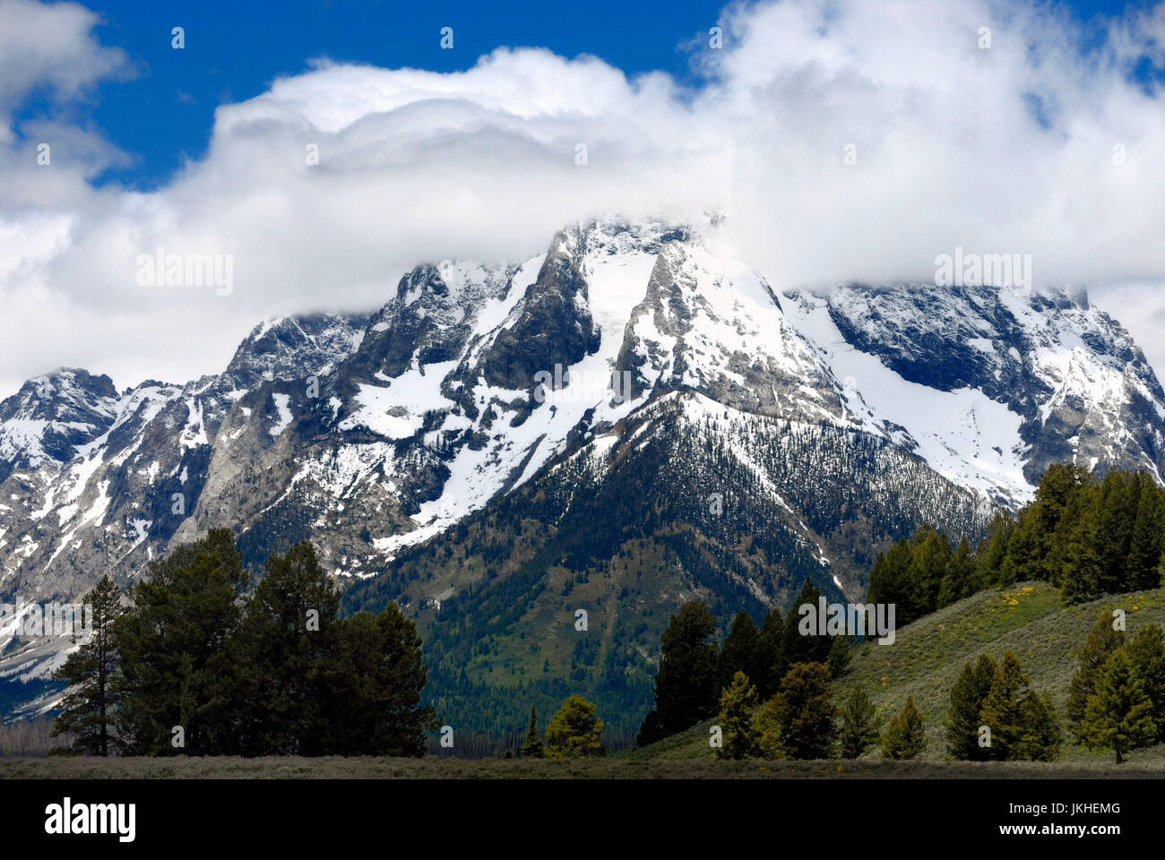 Grand Teton Nationalpark Stockfoto
