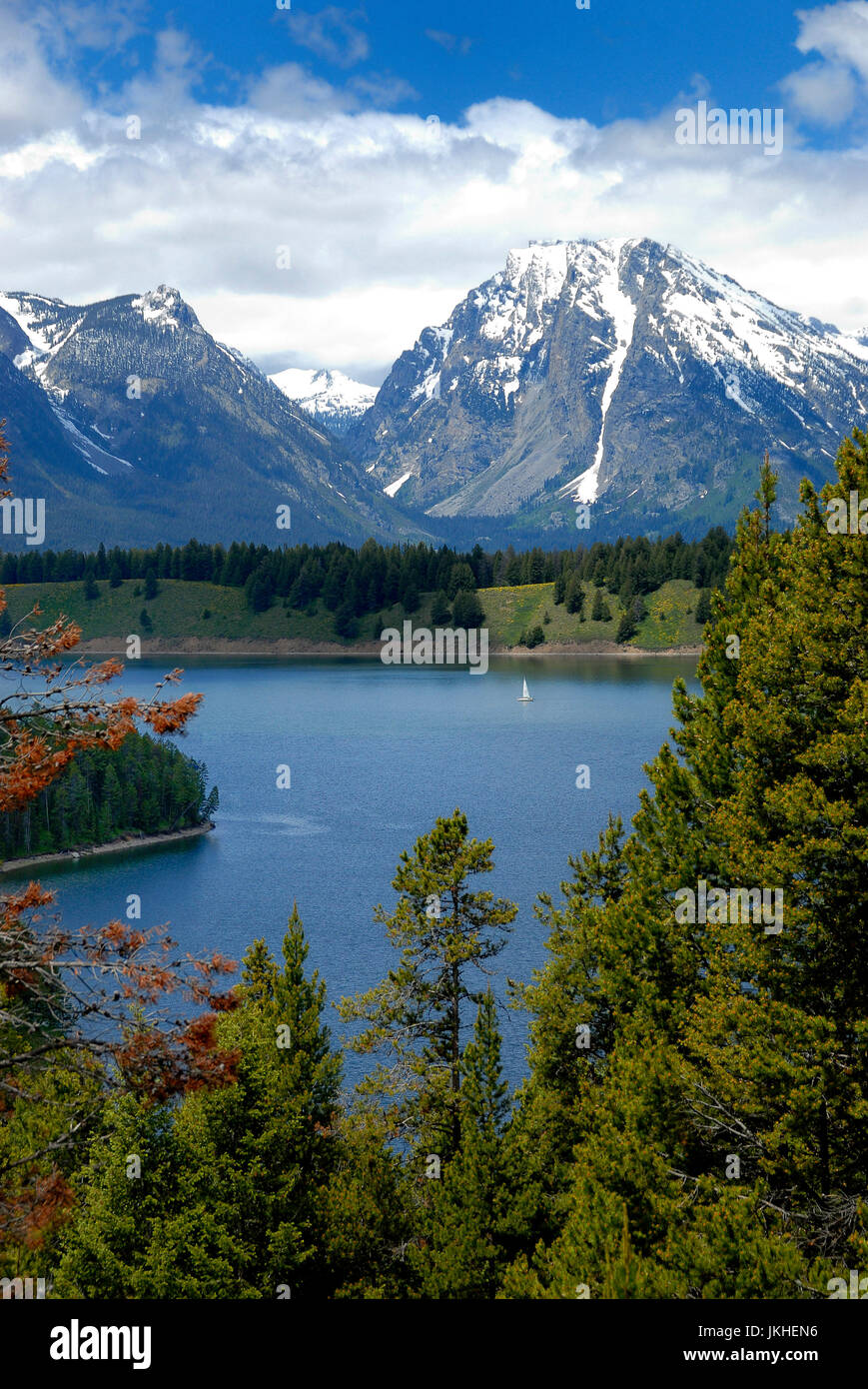 Jackson Lake, Grand Teton und Yellowstone National Park Stockfoto