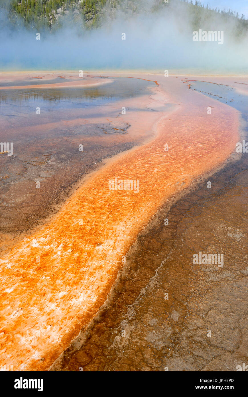 Bakterienmatte, Grand Bildobjekte Frühling, Yellowstone-Nationalpark, Wyoming, USA Stockfoto
