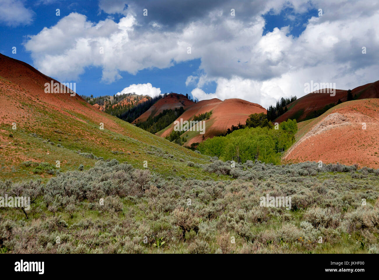 Red Hills, Gros Venture Wildnis, Bridger-Teton National Forest, Wyoming, USA Stockfoto
