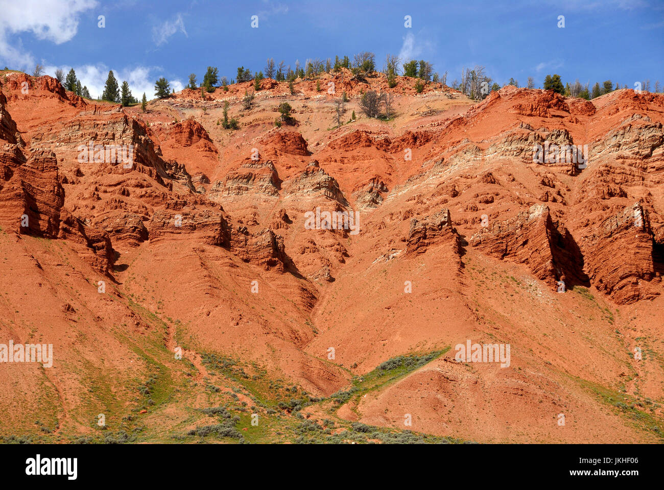 Red Hills, Gros Venture Wildnis, Bridger-Teton National Forest, Wyoming, USA Stockfoto