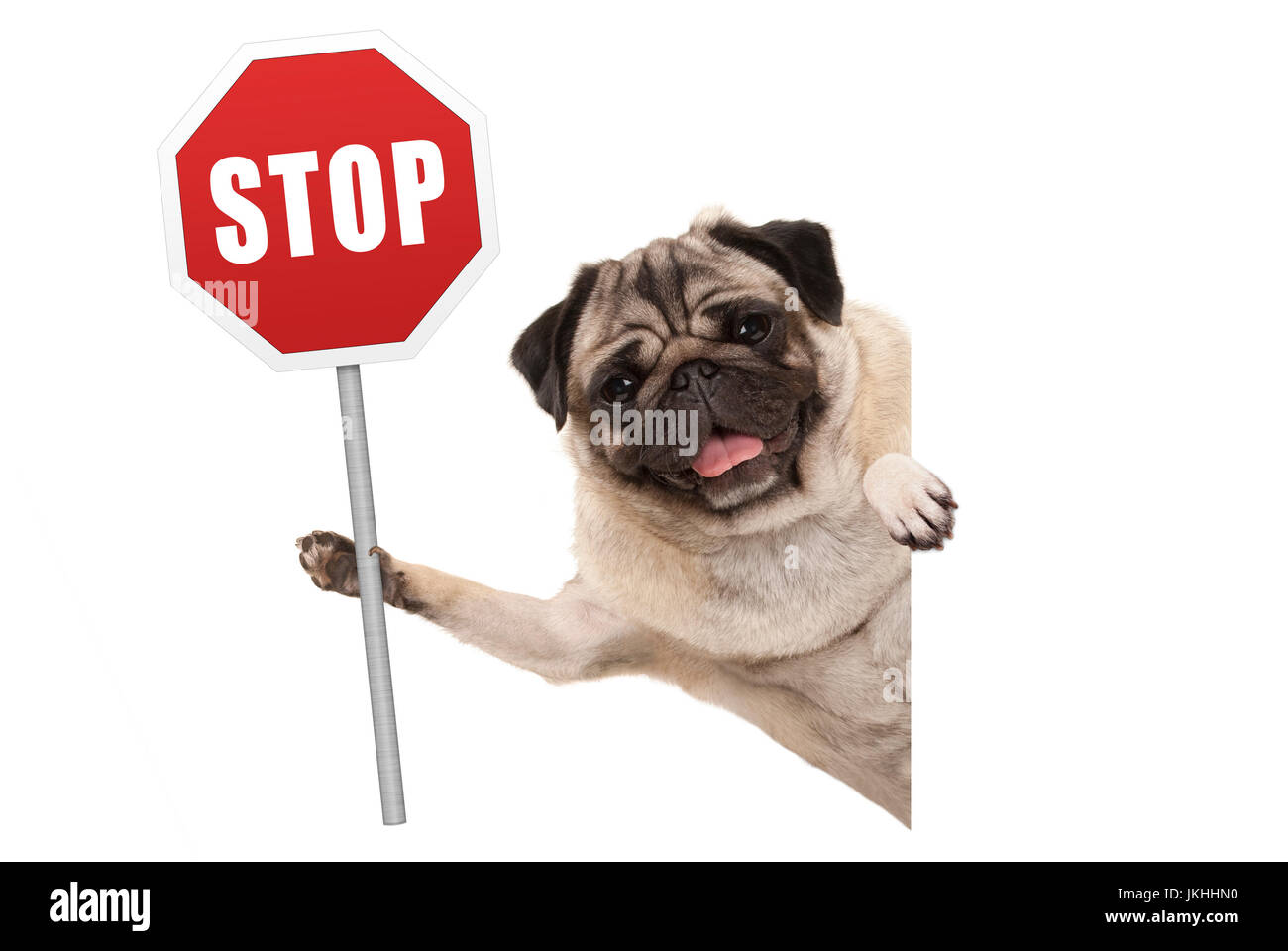 Um aufmerksamkeit bitten Fotos und Bildmaterial in hoher Auflösung