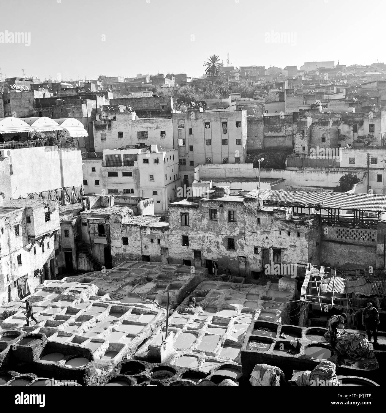 Unschärfe in Marokko Afrika der alten Gerberei in der Nähe der medina Stockfoto