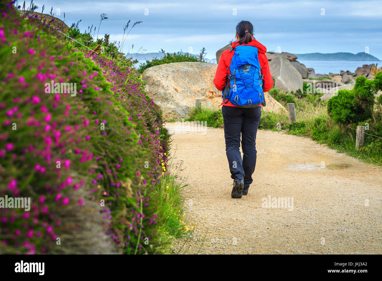 Blumige Promenade im Naturpark. Aktive junge sportliche Wanderer Frau zu Fuß auf dem Wanderweg, Perros Guirec, Bretagne, Frankreich, Europa Stockfoto