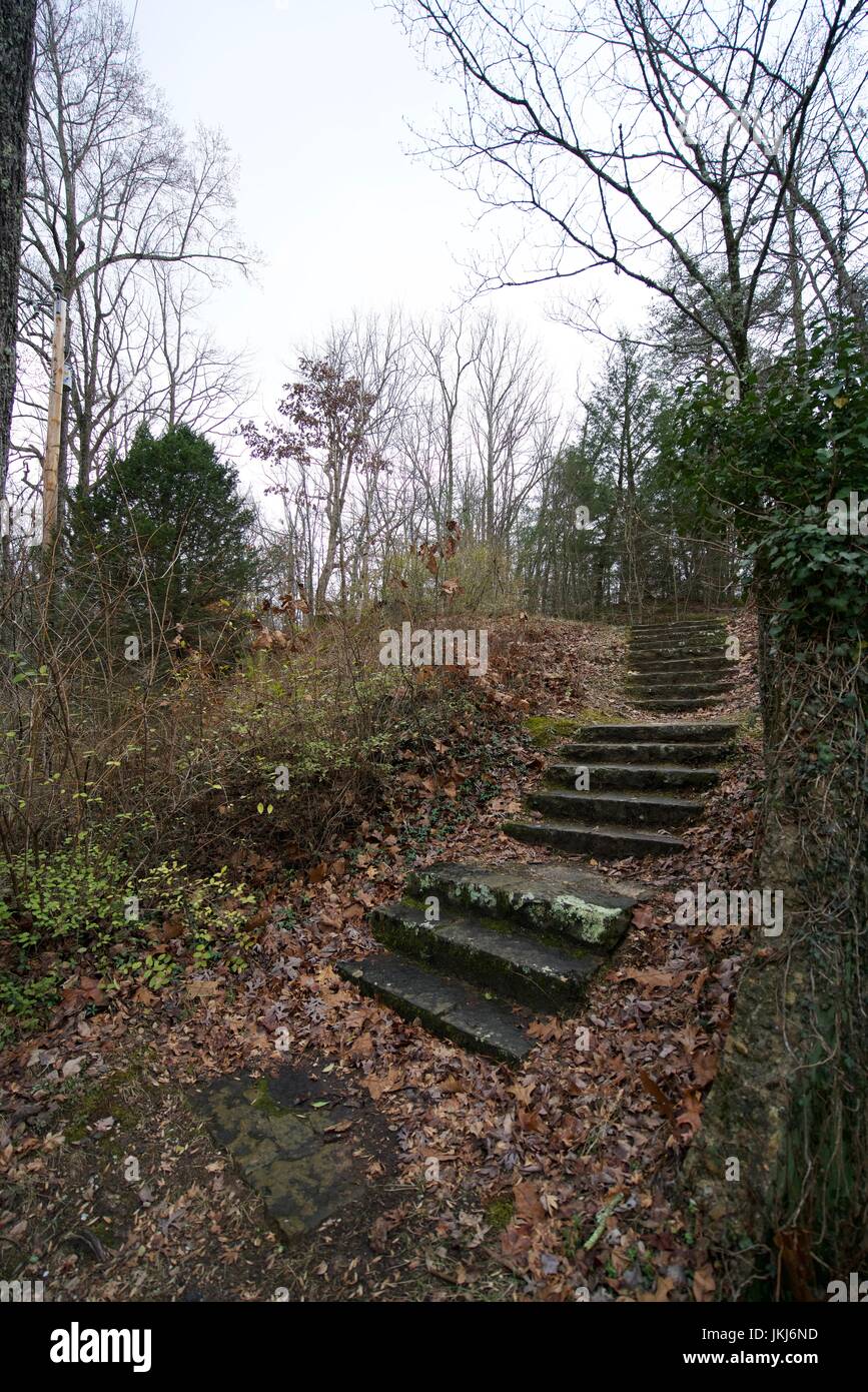 Alten Flechten und Moos überdachte Steintreppe führt nirgends in eine schöne Tennessee bewaldet einstellen. Stockfoto