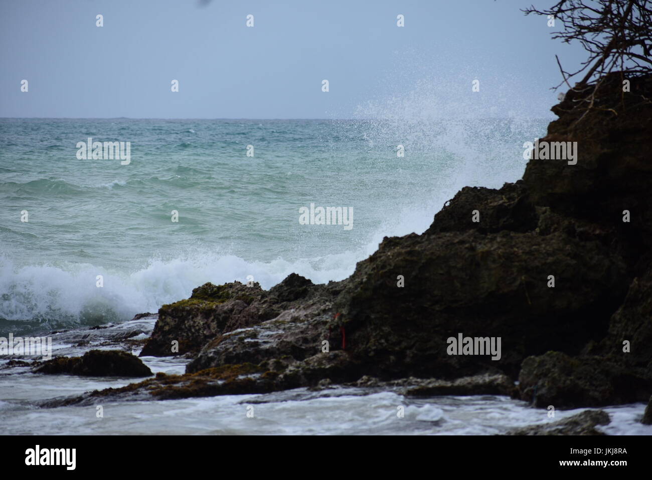 Fotografien von atemberaubenden Szenen in Tobago mit einer Sonne Baden Seerose im Teich, leere Bank mit Blick auf das Meer und das Meer mit Wellen Stockfoto