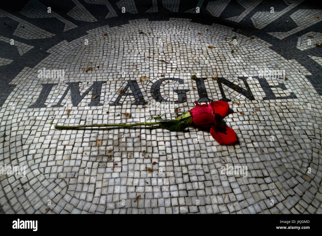 einzelne rote rose auf dem Imagine-Mosaik gewidmet John Lennon im Central Park New York City, USA Stockfoto