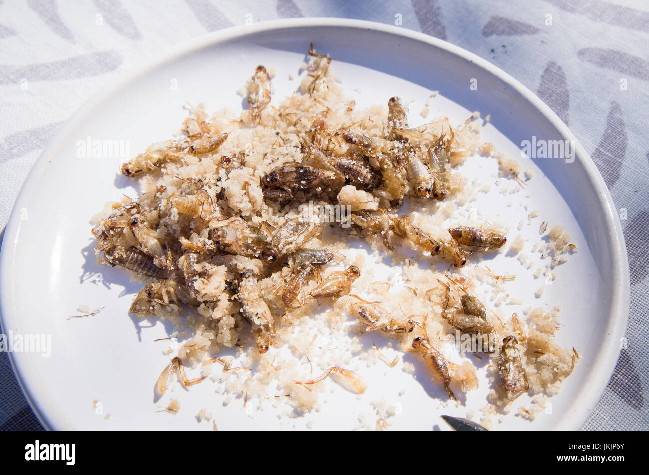 ungewöhnliche Insekt Gerichte für Besucher innerhalb der Tage Insektenfressers karamelisiert Heimchen, Acheta Domesticus, Platte, Essen Stockfoto