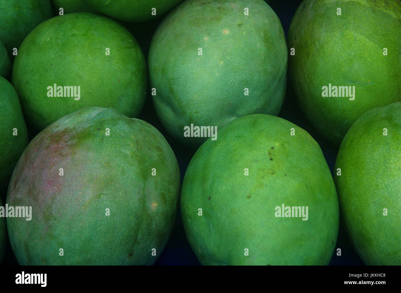 Grüne Mango Früchte hautnah Stockfoto