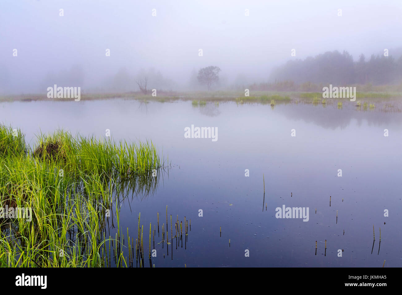 Am frühen Morgen Szene auf einem kleinen See. Morgen mit blauen Nebel und See Stockfoto