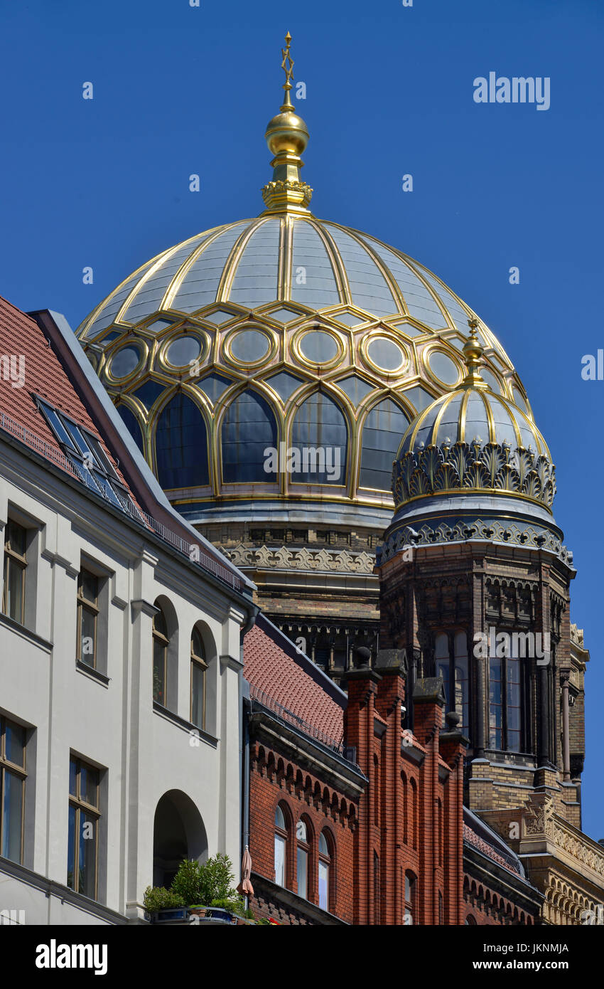 Synagoge, Oranienburger Straße, Mitte, Berlin, Deutschland, Synagoge, Oranienburger Straße, Mitte, Deutschland Stockfoto