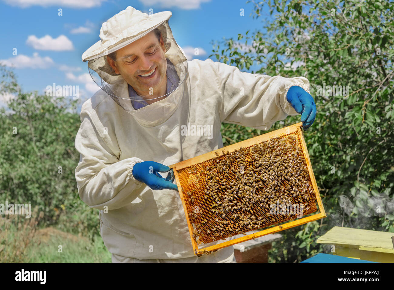 Imker halten eine Honigwabe Stockfoto