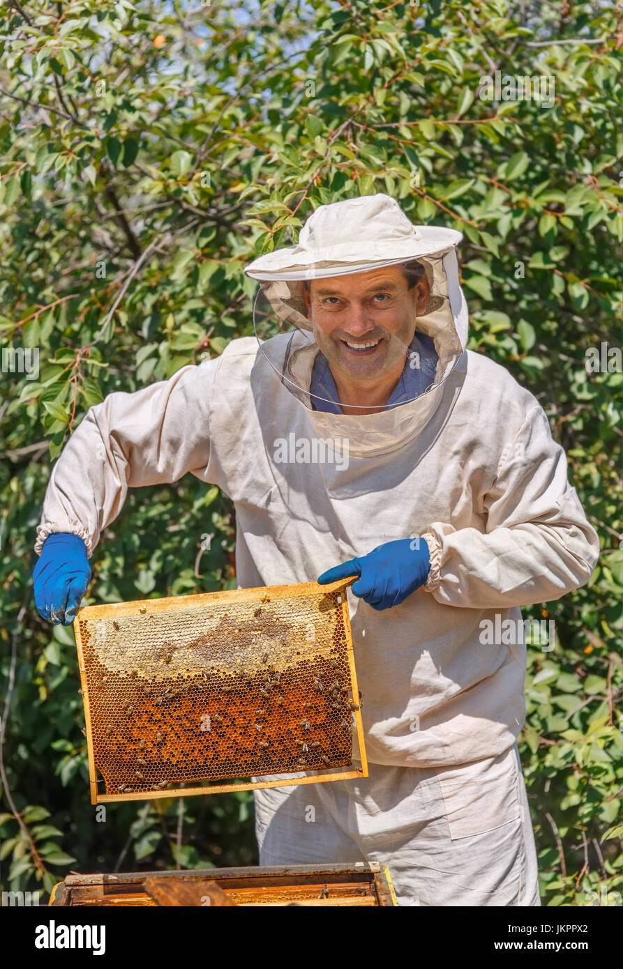Imker halten eine Honigwabe Stockfoto