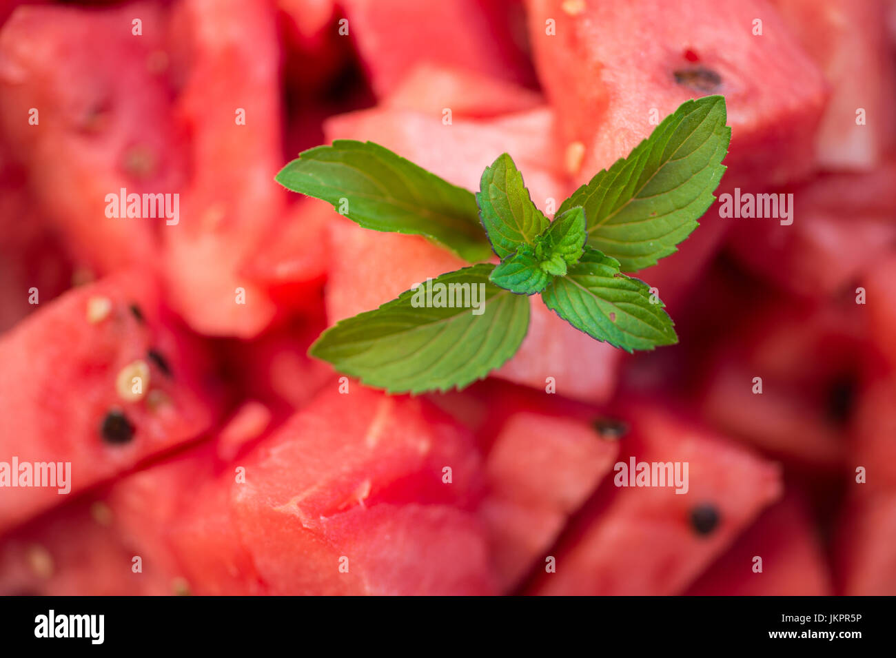 Süße rote Wassermelone Stücke garniert mit frischer Minze Stockfoto