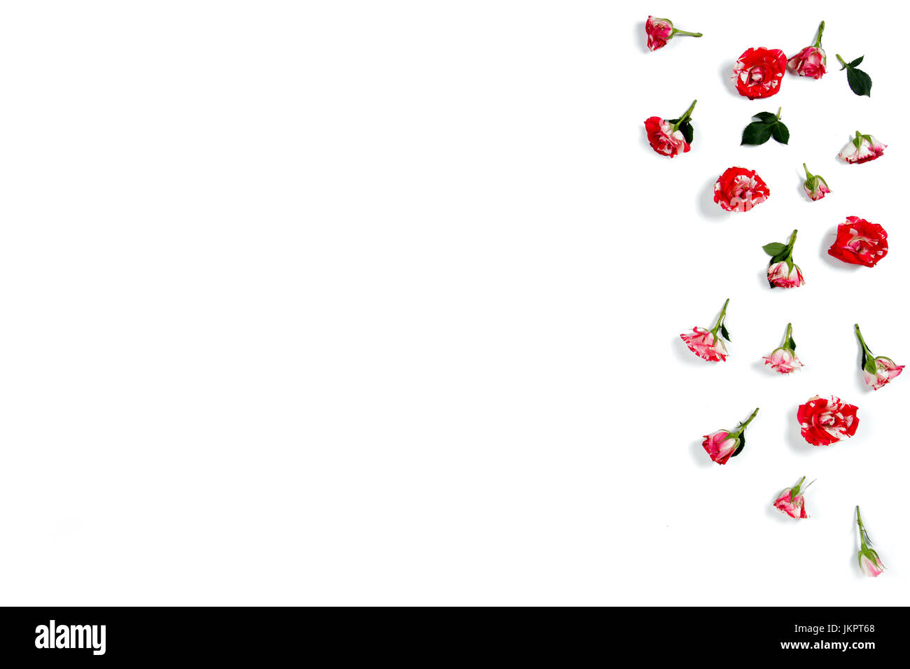 Blumen-Komposition. Gestell aus Rosenblüten. Flach legen, Top Aussicht Stockfoto