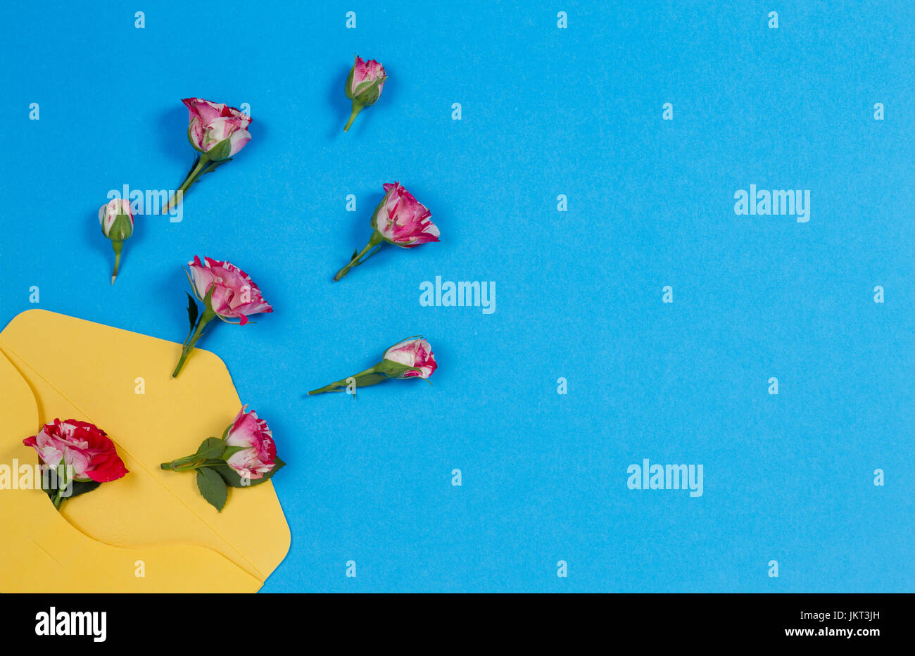 Gelben Umschlag und Rosenblüten auf blauem Hintergrund, Ansicht von oben Stockfoto