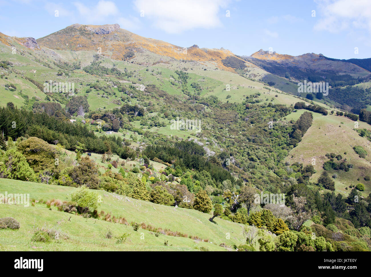 Die bergige Landschaft außerhalb Akaroa Kurort (New Zealand). Stockfoto