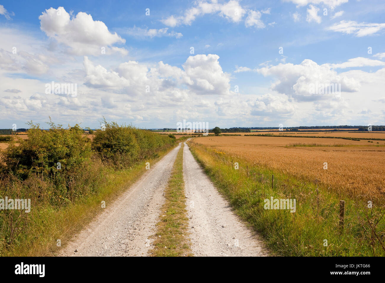 ein weißer Kalkstein Maultierweg und Bauernhof verfolgen in einer Agrarlandschaft unter einem blauen Sommerhimmel in die Yorkshire wolds Stockfoto