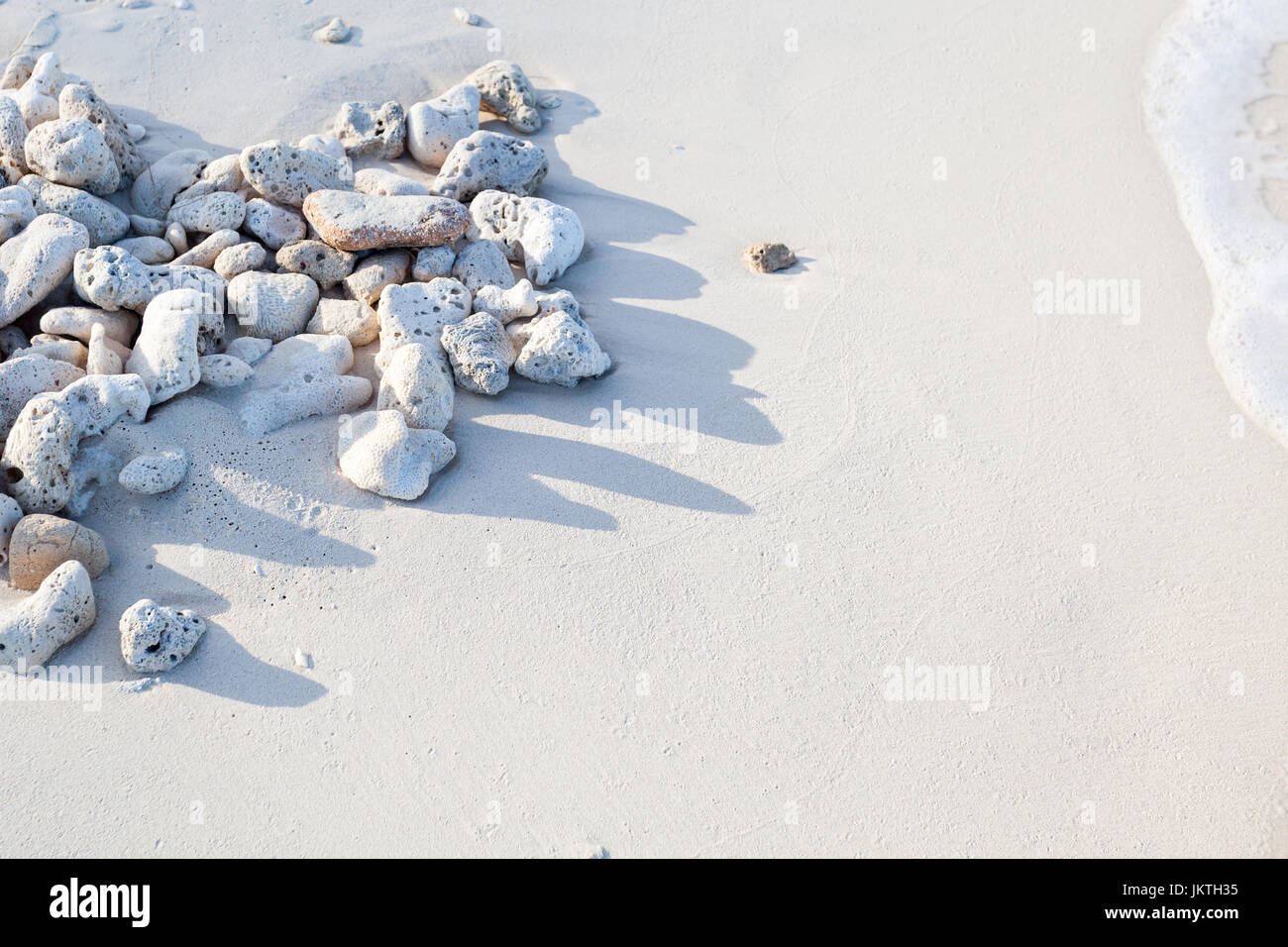 Korallenriffe an der Küste des karibischen Strand Stockfoto