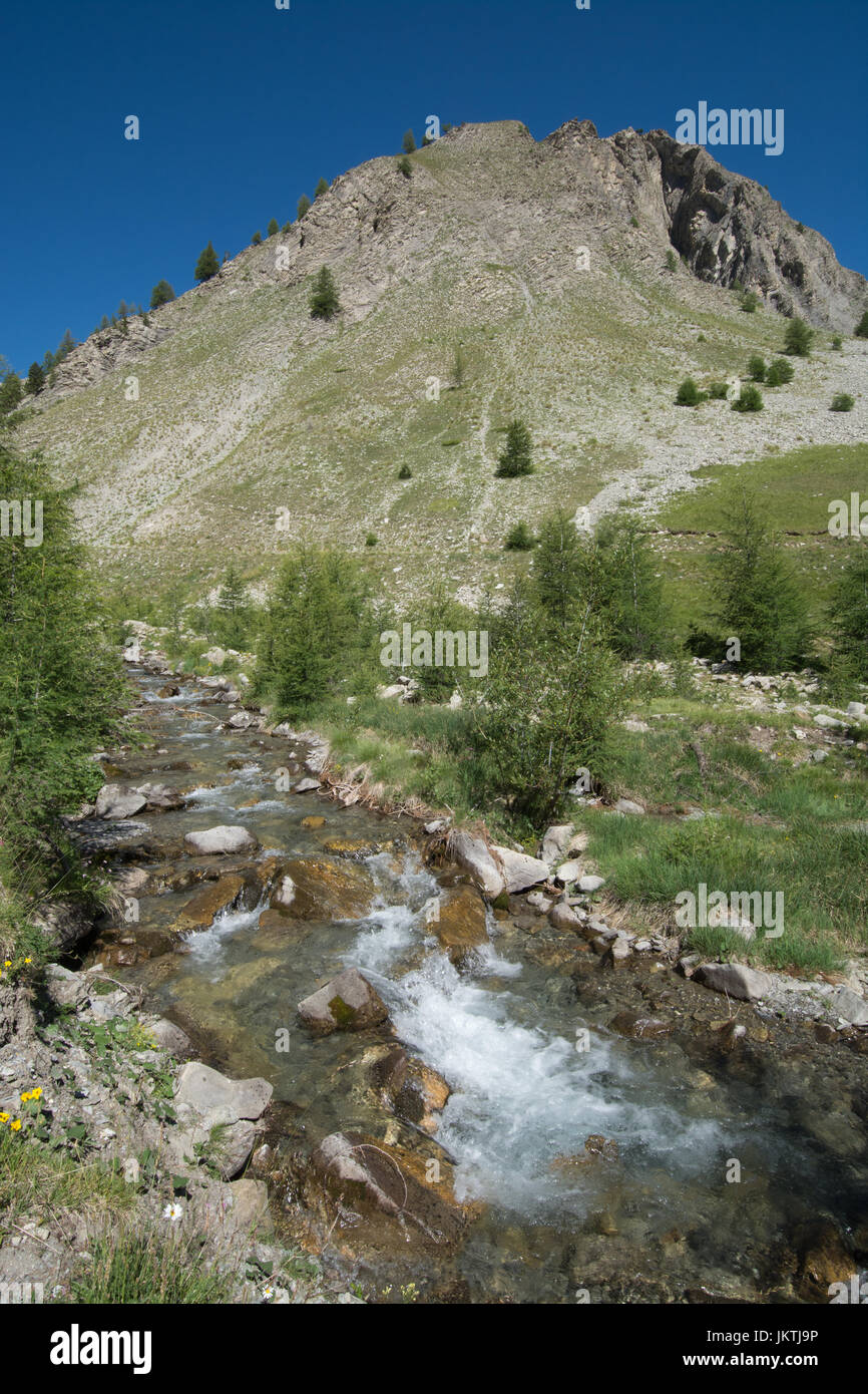 Ansicht des Col De La Cayolle, Alpes de Hautes Provence, Frankreich - Berglandschaft in den französischen Alpen im Sommer Stockfoto