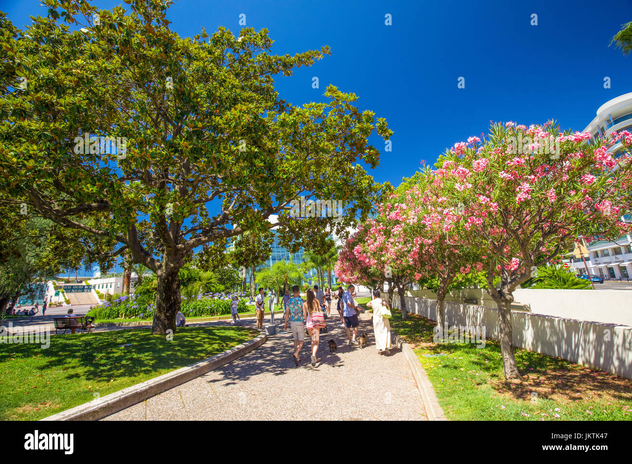 CANNES, Frankreich - Juli 2017 - Garten im Zentrum von Cannes, Frankreich, Europa. Stockfoto