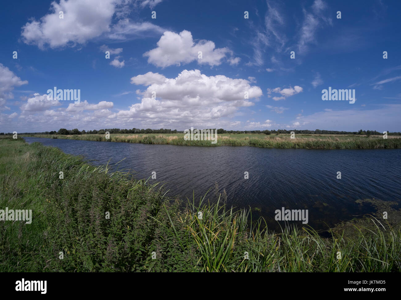 Sommertag auf dem Fluß Waveney zwischen Bungay und Beccles. Suffolk (in der Nähe von Bank), Norfolk (gegenüberliegenden Ufer). Stockfoto