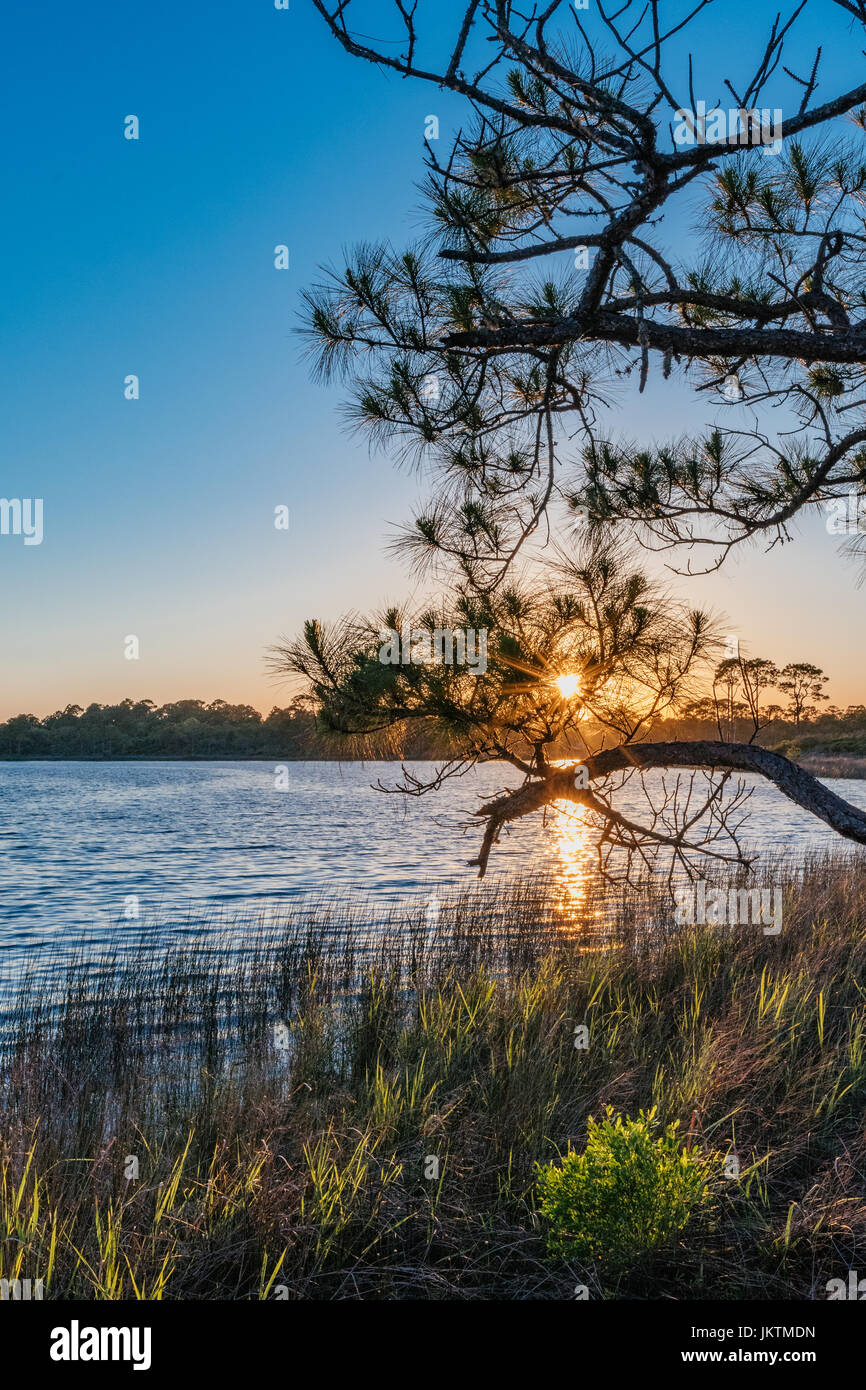 Sonnenuntergang über einem frischem Wasser Dünen See an der Golfküste von Florida, USA. Stockfoto