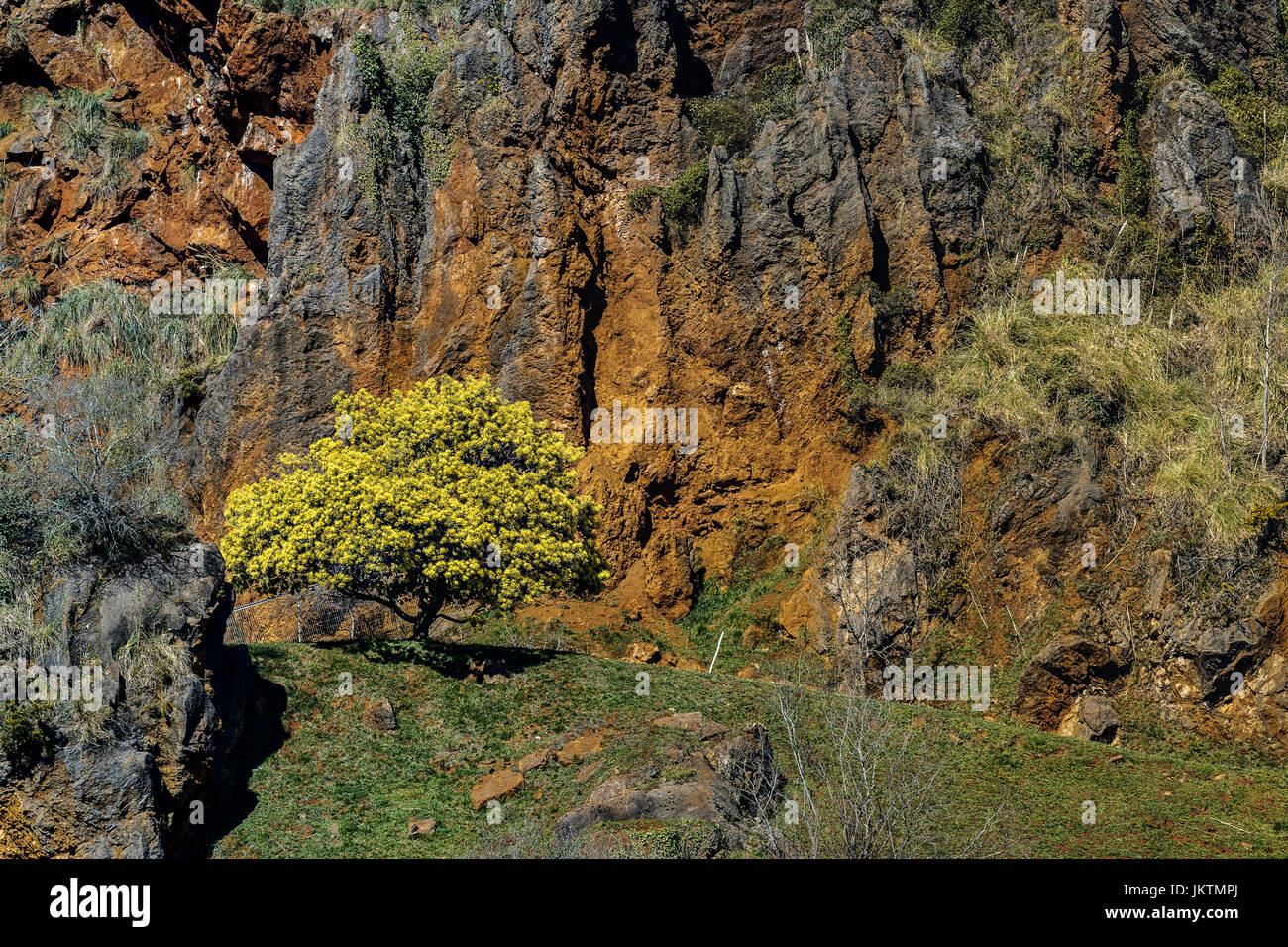 Landschaft bei der Cabarceno Naturpark, Penagos, Kantabrien, Spanien Stockfoto