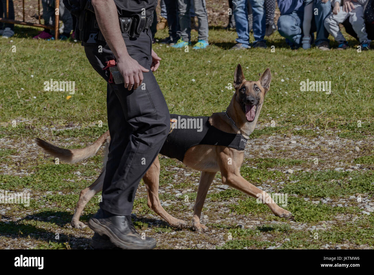 In der Natur Park von Cabárceno de Cantabria. Ausstellung von Hunde-Führer der Nationalpolizei. Spanien, Europa Stockfoto