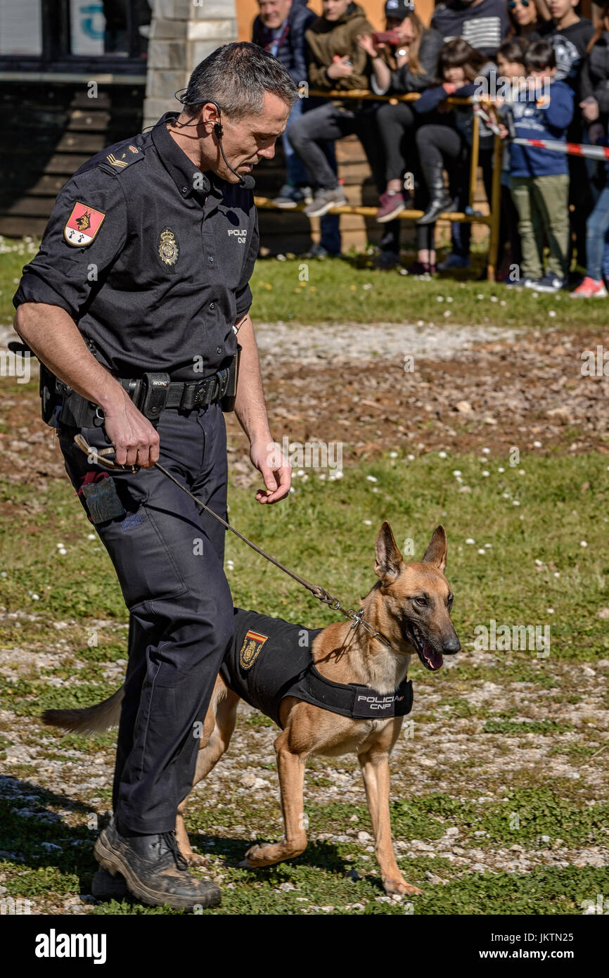 Ausstellung in der Natur Park Cabárceno.La Canine Guides Einheit der Nationalpolizei, Kantabrien, Spanien Stockfoto