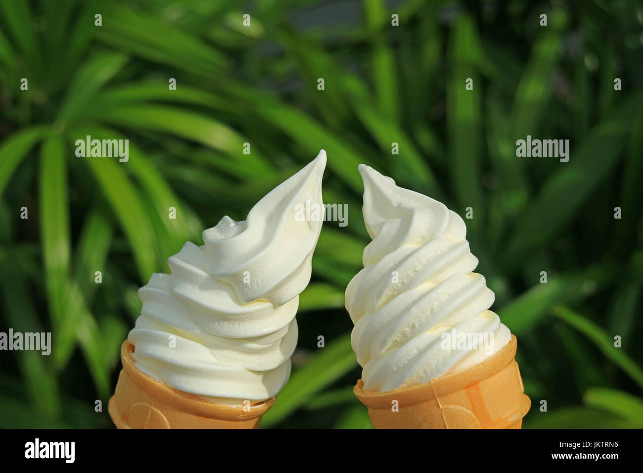 Prost! dienen Sie mit einem Paar von Vanille weich Eistüten in der Sonne, verschwommene grüne Laub im Hintergrund Stockfoto