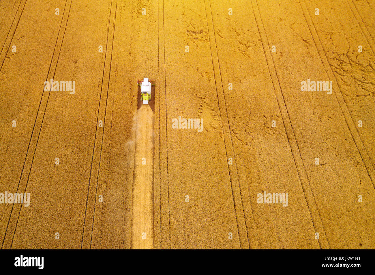 Luftaufnahme des kombinieren Harvester Landmaschinen Weizen ernten auf bebauten Gebiet Stockfoto