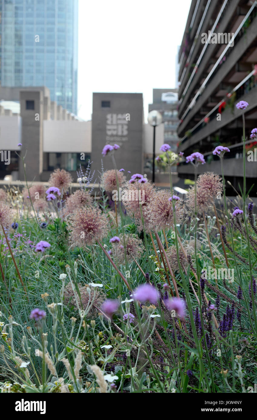 Barbican Centre Gebäude und Nigel Dunnett Buche Gärten im Barbican Estate in June London EC2 England UK KATHY DEWITT Stockfoto