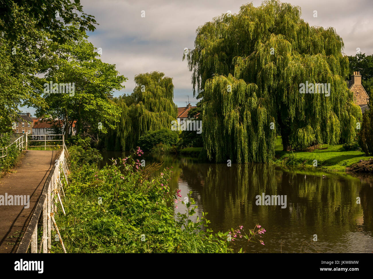 Fluss Tyne, Haddington, East Lothian, Schottland, Großbritannien, mit großen hängenden Willow Tree über Wasser und Uferweg am Tag Sommer Stockfoto