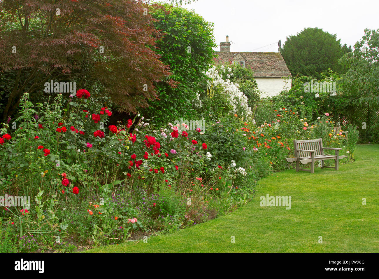 Englischer Cottage-Garten mit roten Rosen, Sträucher und Rasen Stockfoto