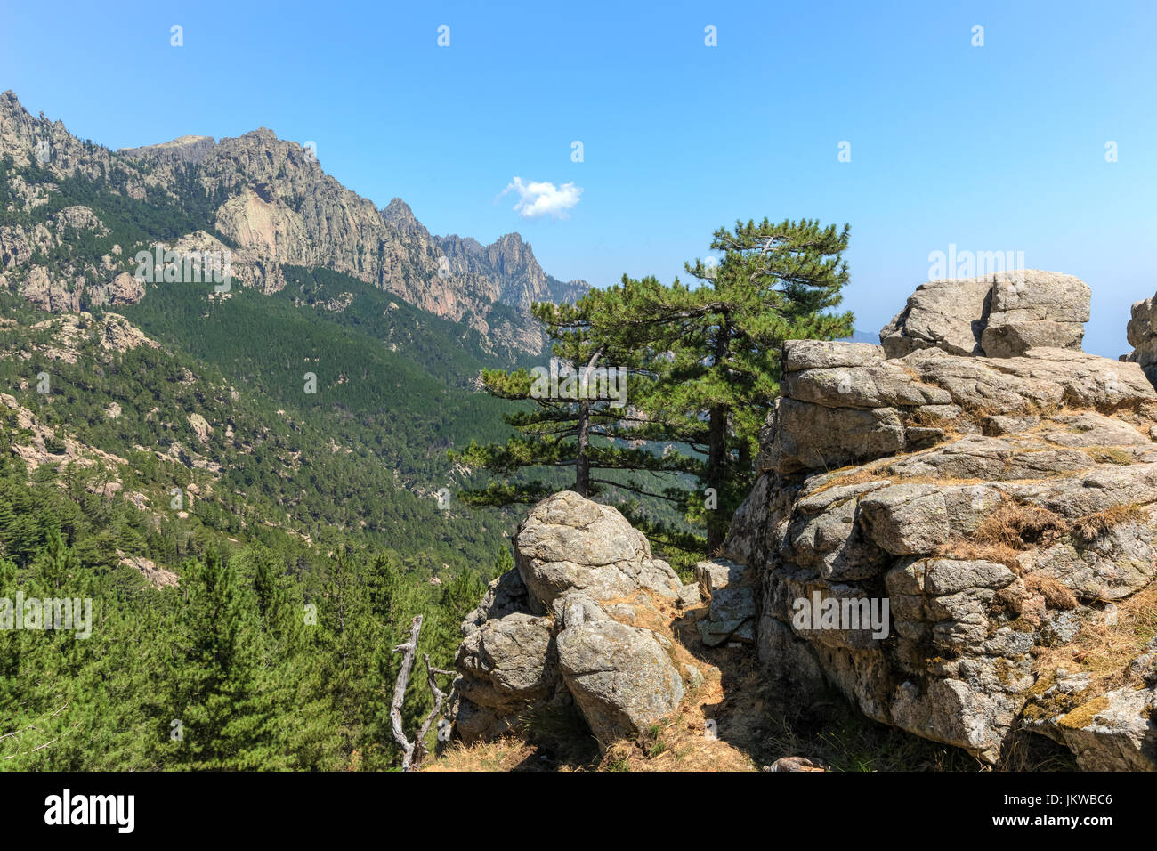 Aiguilles de Bavella, Parc Naturel regional de Corse, Korsika, Frankreich Stockfoto