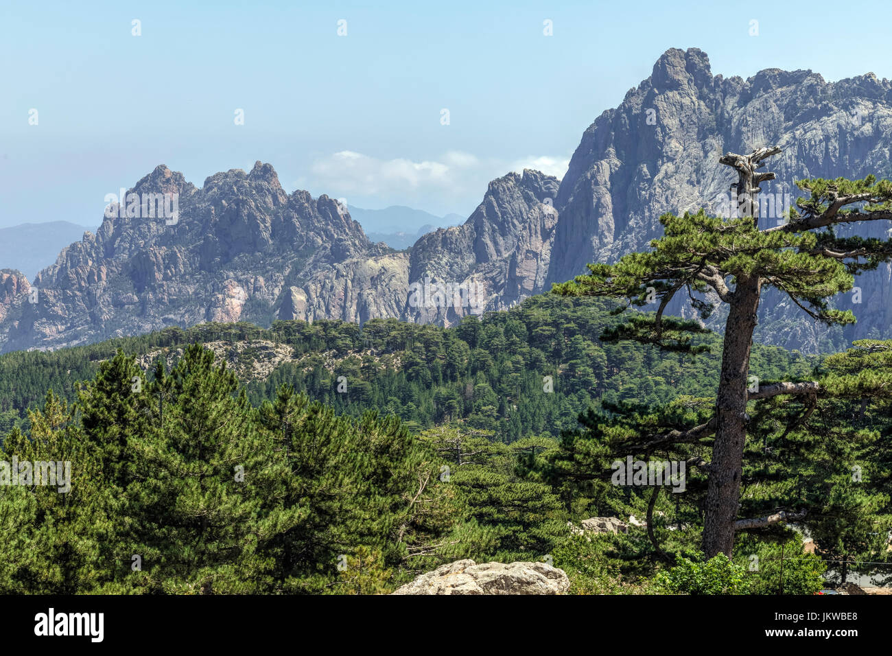 Aiguilles de Bavella, Parc Naturel regional de Corse, Korsika, Frankreich Stockfoto