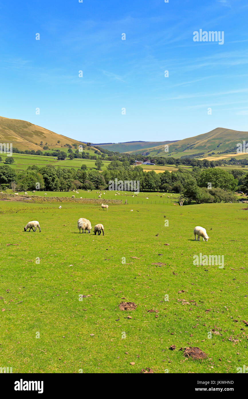 Hoffe Tal aus der Pennine Way Edale, Derbyshire, Peak District National Park, England, UK. Stockfoto