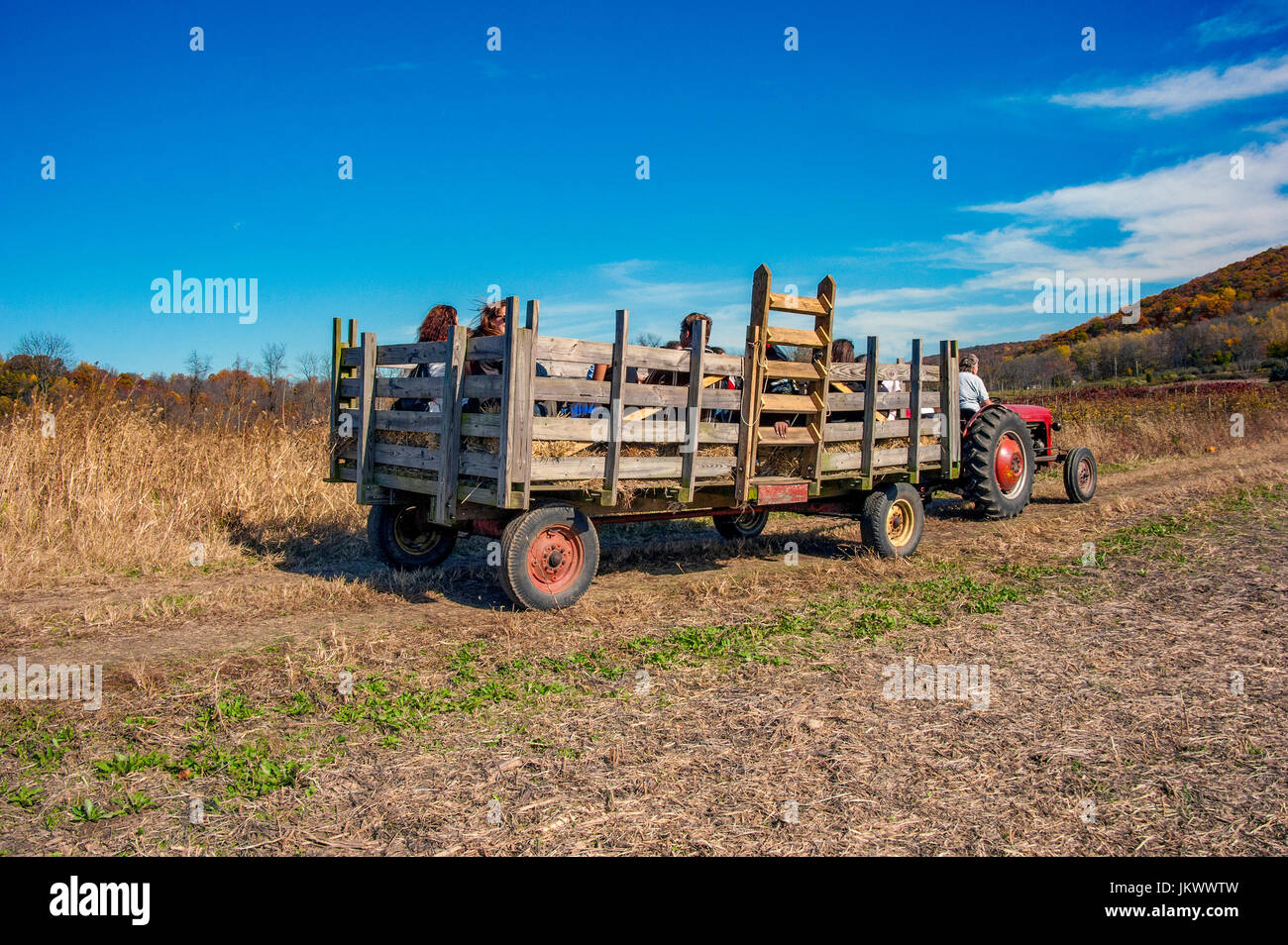 Herbst Hayride Stockfoto