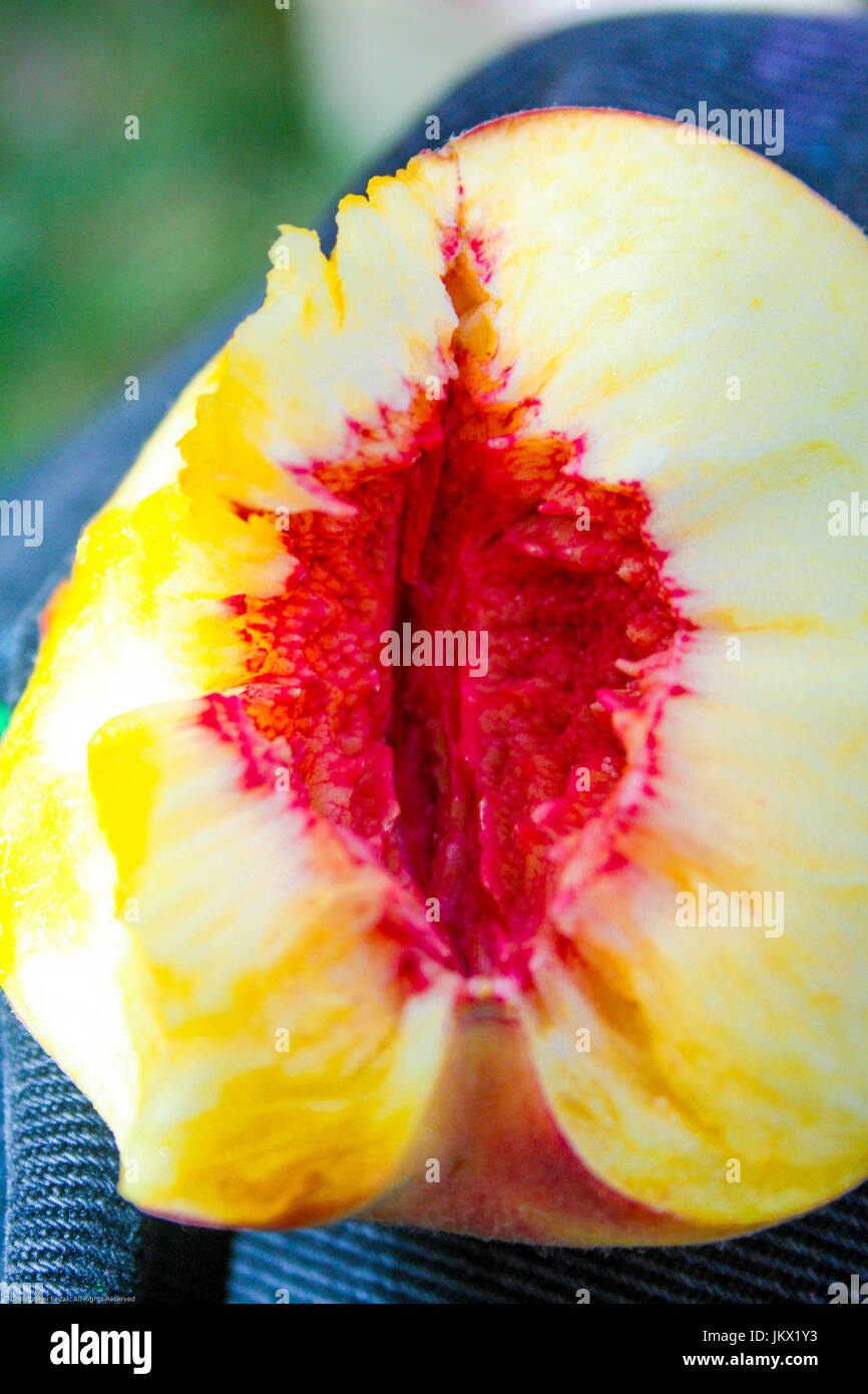 lebhafte rote Pfirsich Grube. Stockfoto