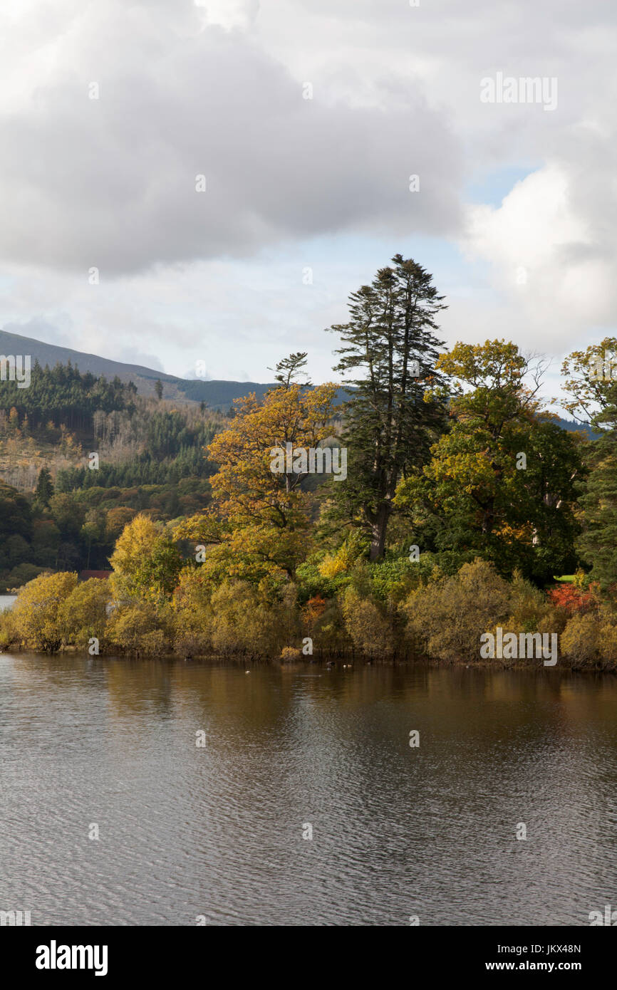 Bäume im Herbstblatt am Derwent Insel Derwent Wasser Keswick The Lake District Cumbria England Stockfoto