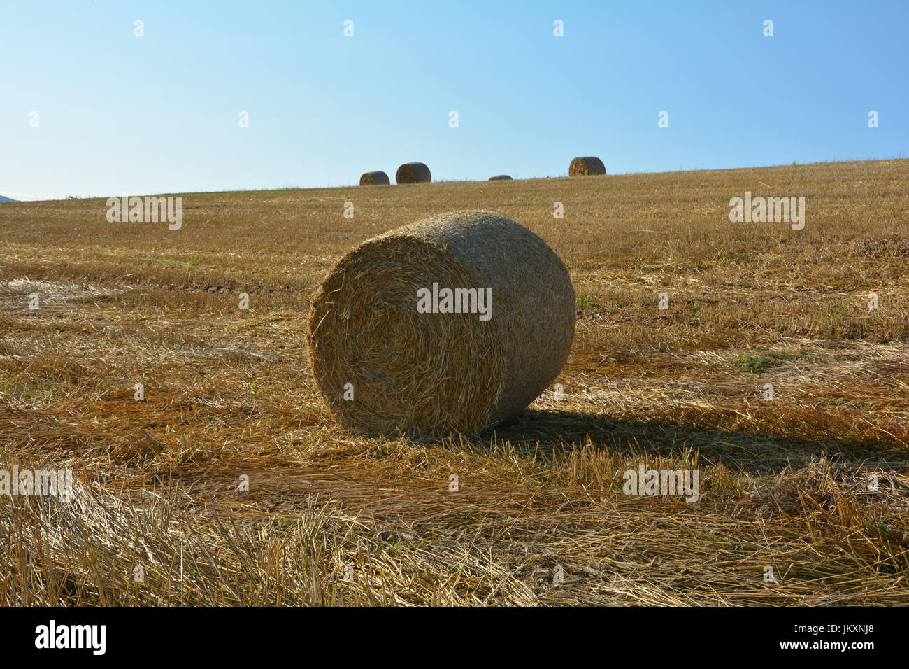 Strohballen auf abgeernteten Feld mit blauem Himmel Stockfoto