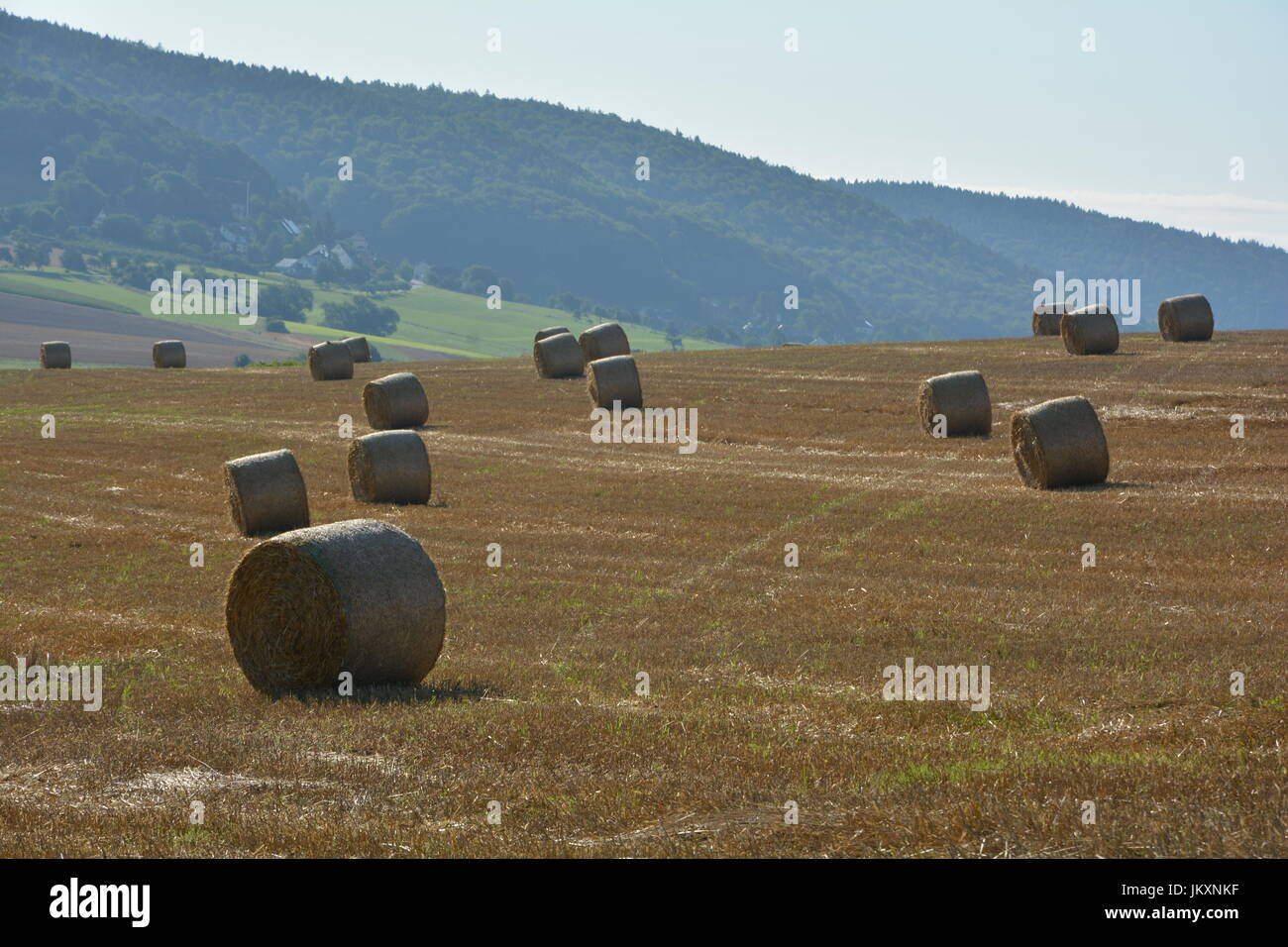 Strohballen liegen in einer Landschaft Stockfoto