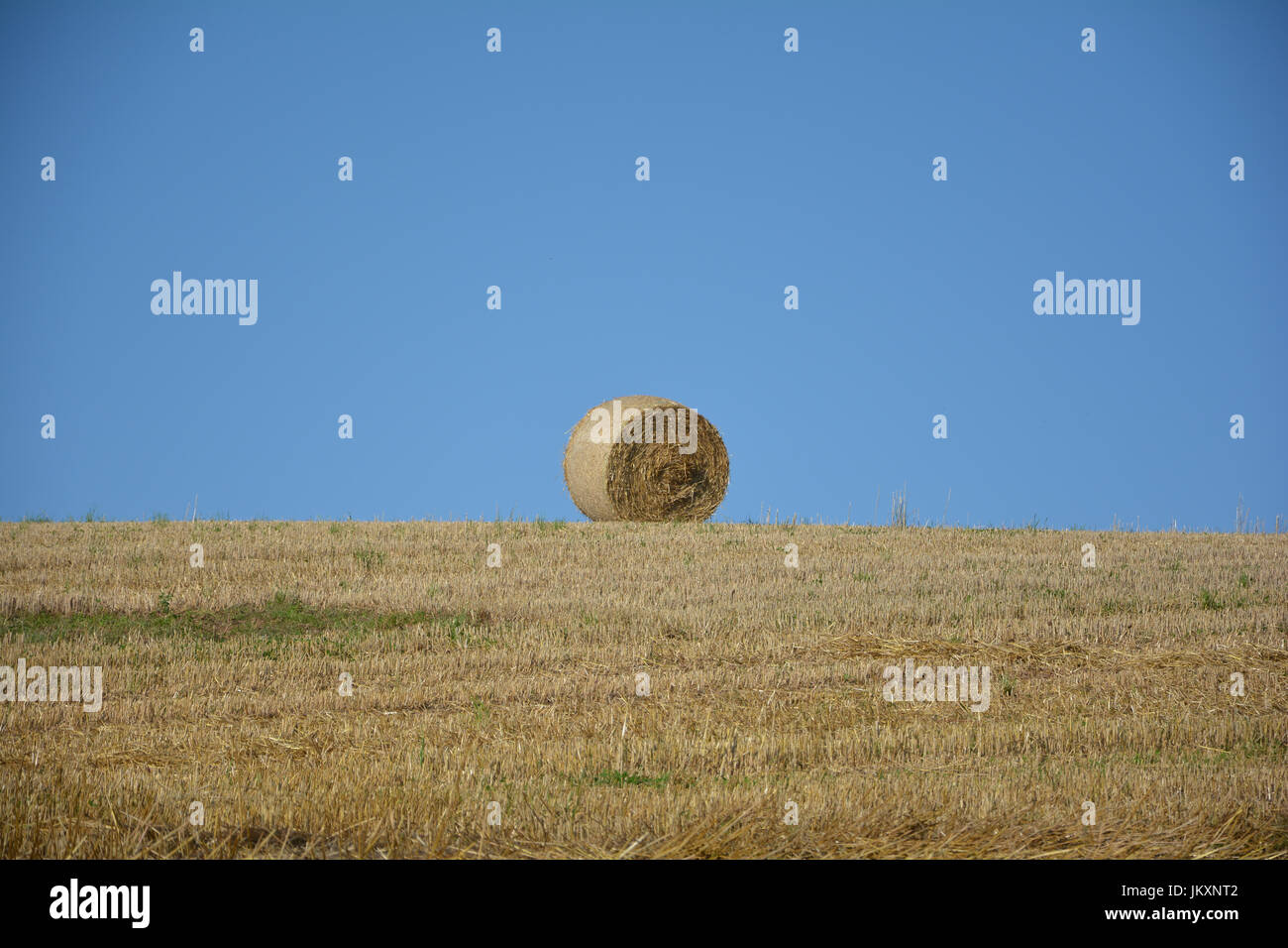 Strohballen am Horizont auf abgeernteten Feld Stockfoto
