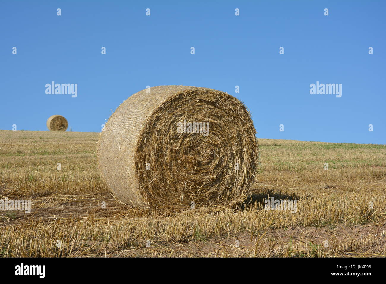 Strohballen auf abgeernteten Feld mit einem Heuballen im Horizont und blauer Himmel Stockfoto